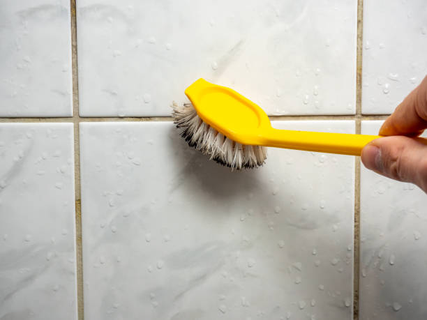 Best Mold Remediation for Specific Building Types in The Homesteads, TX